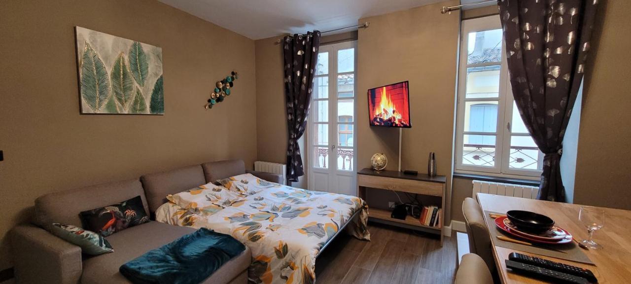 Appartement Le Moulin Vert Καρκασόν Εξωτερικό φωτογραφία